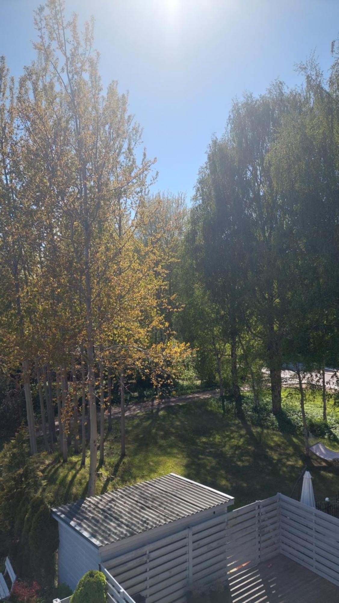 Pas Rasa Hotell Palanga Exteriör bild